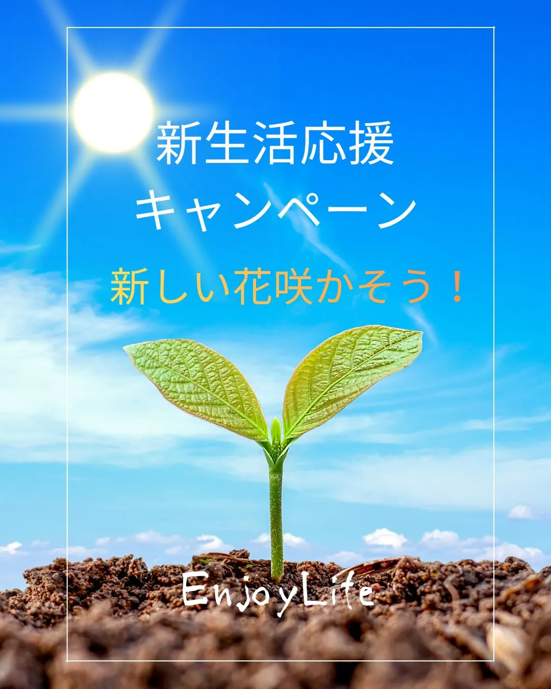 「新生活、整える準備できてる?」